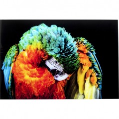 Glass Picture Tropical Parrot 120x80cm