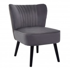 PHW Regents Park Grey Velvet Chair